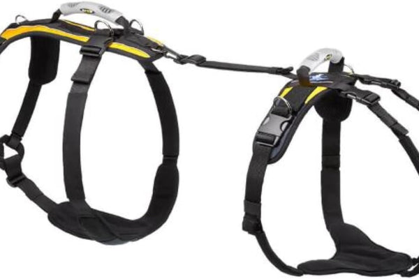Support Harnesses for Senior Dogs