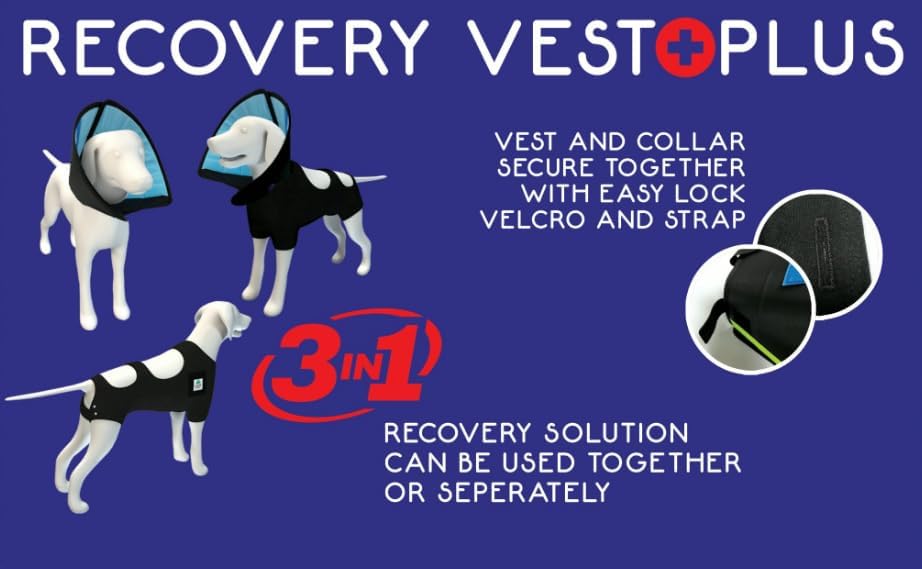 Recovery Vest Plus XSmall w Detachable Collar (XSmall)