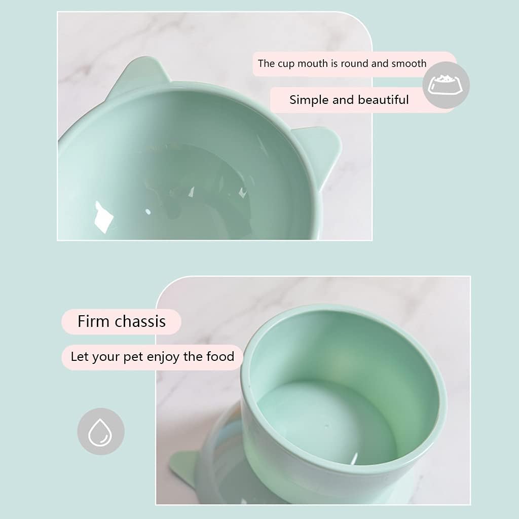 Dog Bowl Raised Cats Food Water Bowls with Elevated Stand Pet Feeding Bowl No-Spill 45° Slanted Pet Dish Blue Green