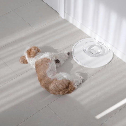 Stone Dry Mat for Pets, Absorbent Pet Feeding Mat for Food, Water Bowls Quick Drying Mat for Pet Cat Water Fountains Natural Diatomaceous Earth Non-Slip Dog Cat Accessories for Messy Drinkers