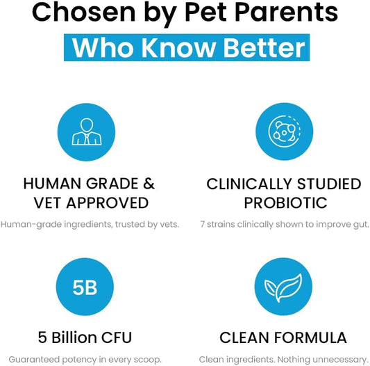 Human Grade Daily Probiotic for Dogs – Vet Approved with 7 Clinically Proven Strains + Prebiotics, Gut & Immune Support with Pumpkin & Carrot – 60 Servings – 5 Billion CFU per Scoop