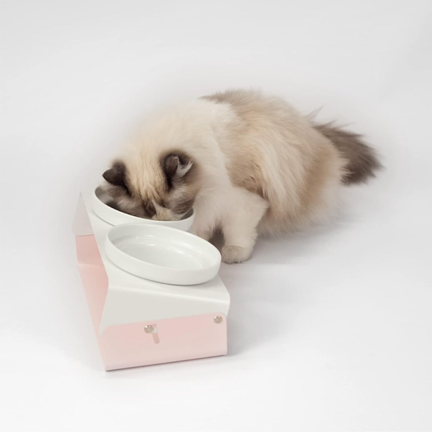 Elevated Cat Bowls Feeder - 16.9 oz Pet Food Water Ceramic Double Feeding Bowls with Non-Slip Tilted Raised Base for Kitten Puppy, Pink