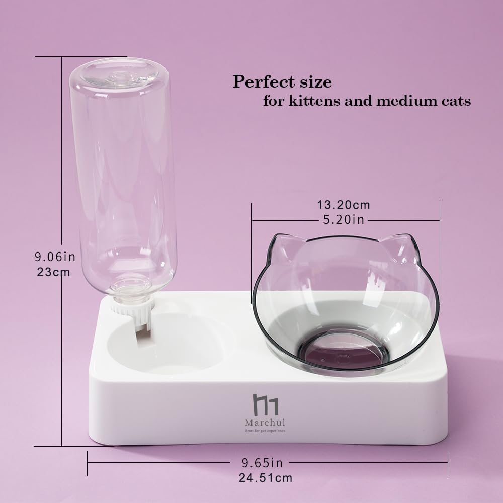 Marchul Double Elevated Dog Cat Bowl, Pets Water and Food Bowl Set, 15° Raised Tilted Dishes Indoor for Kitten, Puppies, Small or Medium Size Dogs Cats
