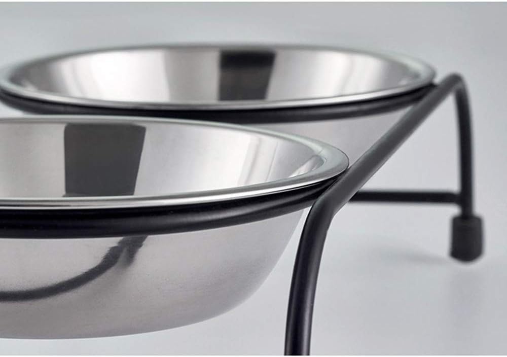 Double Pet Feeder Dishes, Stainless Steel Food and Water Bowls with Iron Stand, Double Diner Pet Bowl for Small Dogs and Cats, S (Large)