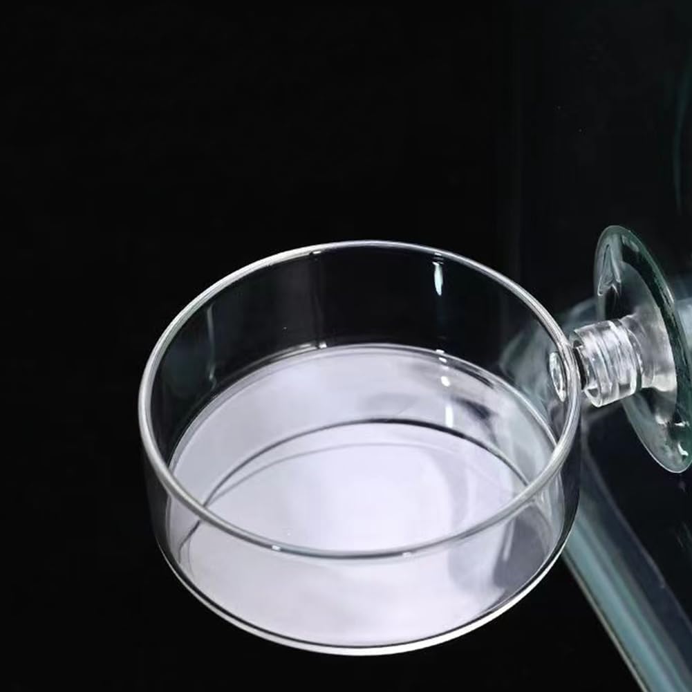 2 Pack 60mm Aquarium Shrimp Feeder Dish with Suction Round Clear Fish Tank Food Tray Container Feeder Bowl Prevent Food Spilling
