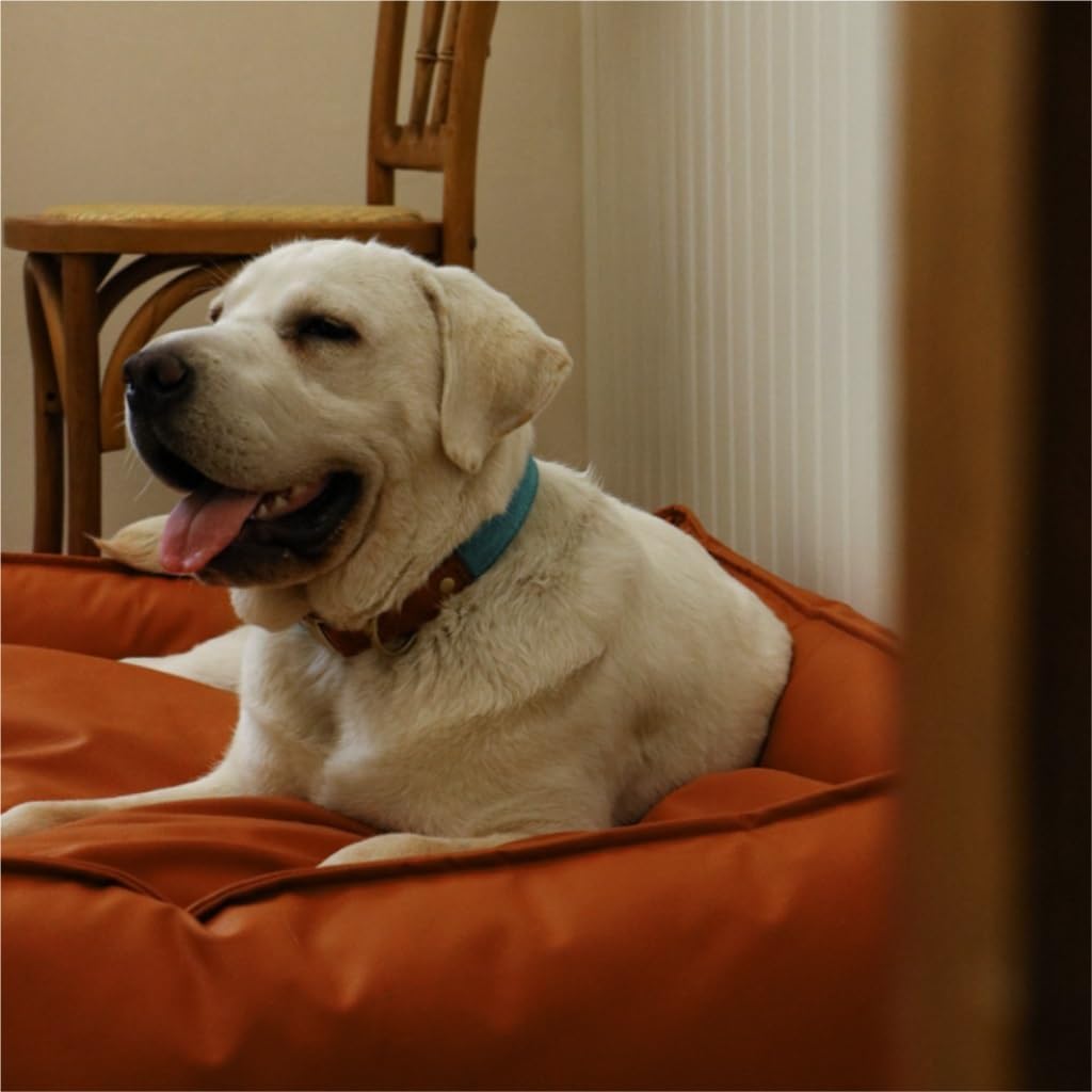 Dog Bed Creative Waterproof Kennel Pet Bed Sofa Cat Kennel Supplies Kennel Sponge Removable and Washable Comfortable Dog Bed Pet Bed (Color : Gray, Size : M:72 * 50 * 20cm) (Coffee XL:104*90*20cm)