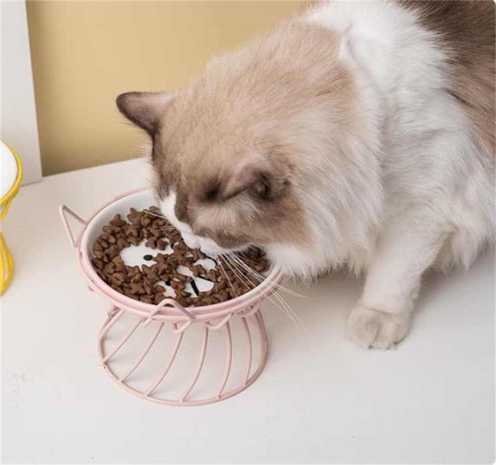Raised Cat Food Bowls Ceramic Cat Bowl with Metal Stand Elevated Cat Feeding Bowl Cat Dish with Non-Slip Mat Pet Food Bowl for Cats and Small Dogs