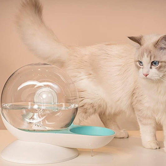 Automatic Drinking Fountain for Dog Small Snail Bubble Indoor Convenient for Checking Water Gift