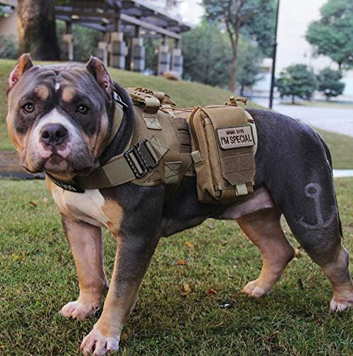 Antrix 6 Pcs Tan Service Dog Patch for Dog Harness, Working Training Do Not Touch Pet Stress & Anxiety Response Access Required by Law Hook & Loop Dog Patch for Large Dogs Vests/Harness Clothes