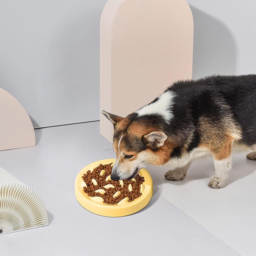 for Slow Eating Non Slip Dog Puzzle Bowl Feeder Dish Pet Bowls with Fish Pattern