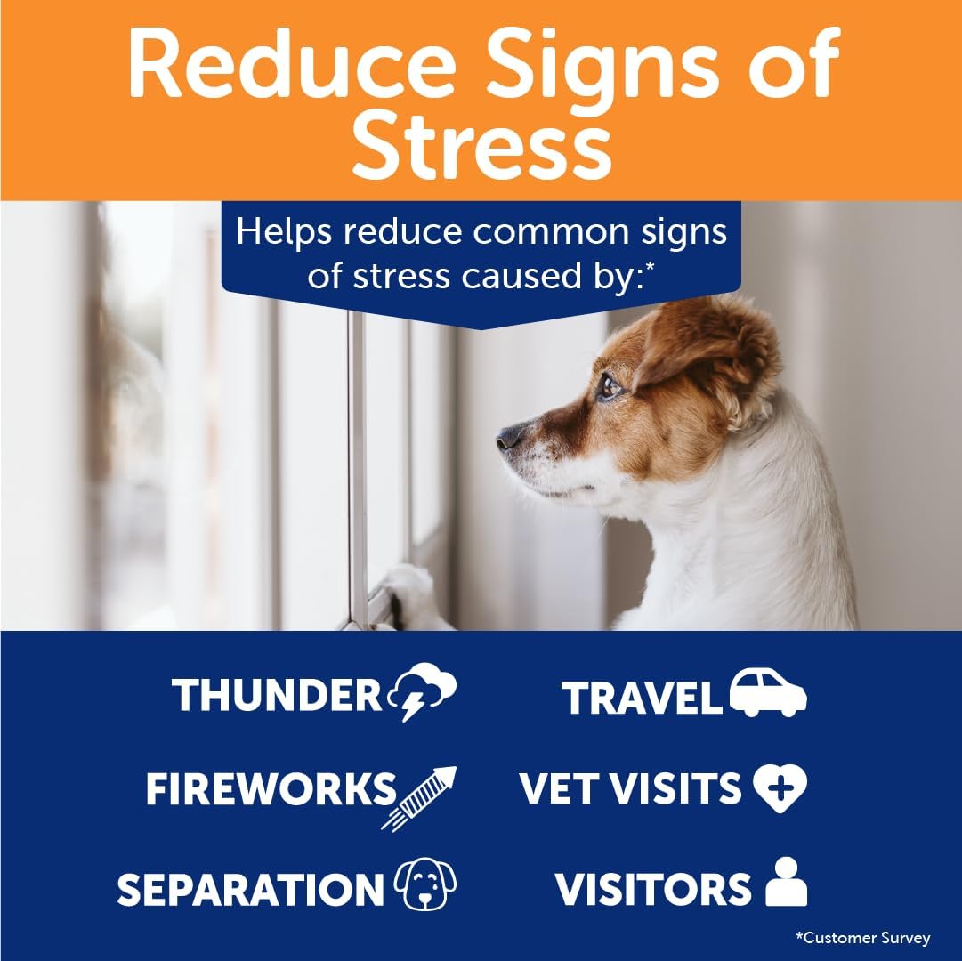 ThunderBites Dog Calming Chews, Thiamine, L-Tryptophan, Melatonin and Ginger, Can Help Relieve Stress from Separation, Storms, Fireworks & Travel (180 Count), formerly ThunderWunders