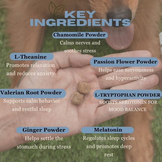 Calming Chews for Dogs – Stress & Anxiety Relief with Melatonin, Chamomile & L-Tryptophan – Soothes Hyperactivity, Separation, Travel & Fireworks – 120 Soft Chews