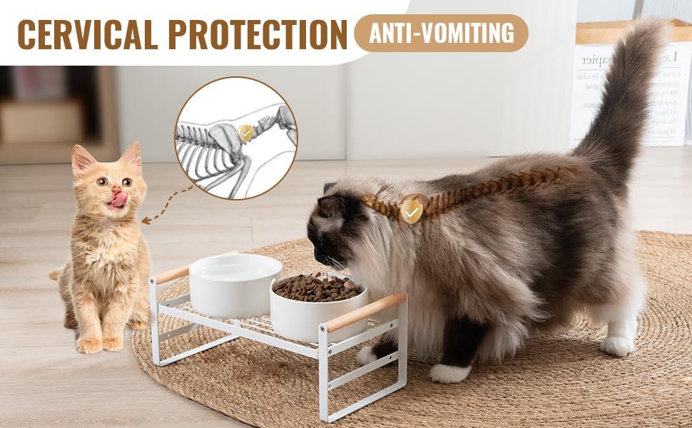Upgraded Elevated Cat Bowls, Adjustable Raised Cat Dishes Stand with 2 Ceramic Bowls for Cats and Dogs, 20 oz Each