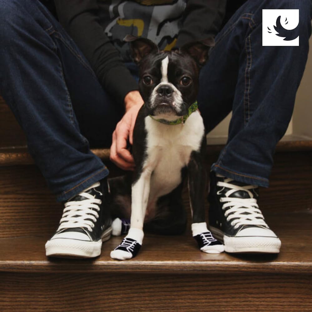 RC Pet Products Fun PAWks Anti-Slip, Stylish, Functional, Protective Dog Socks | X-Large, Bandit