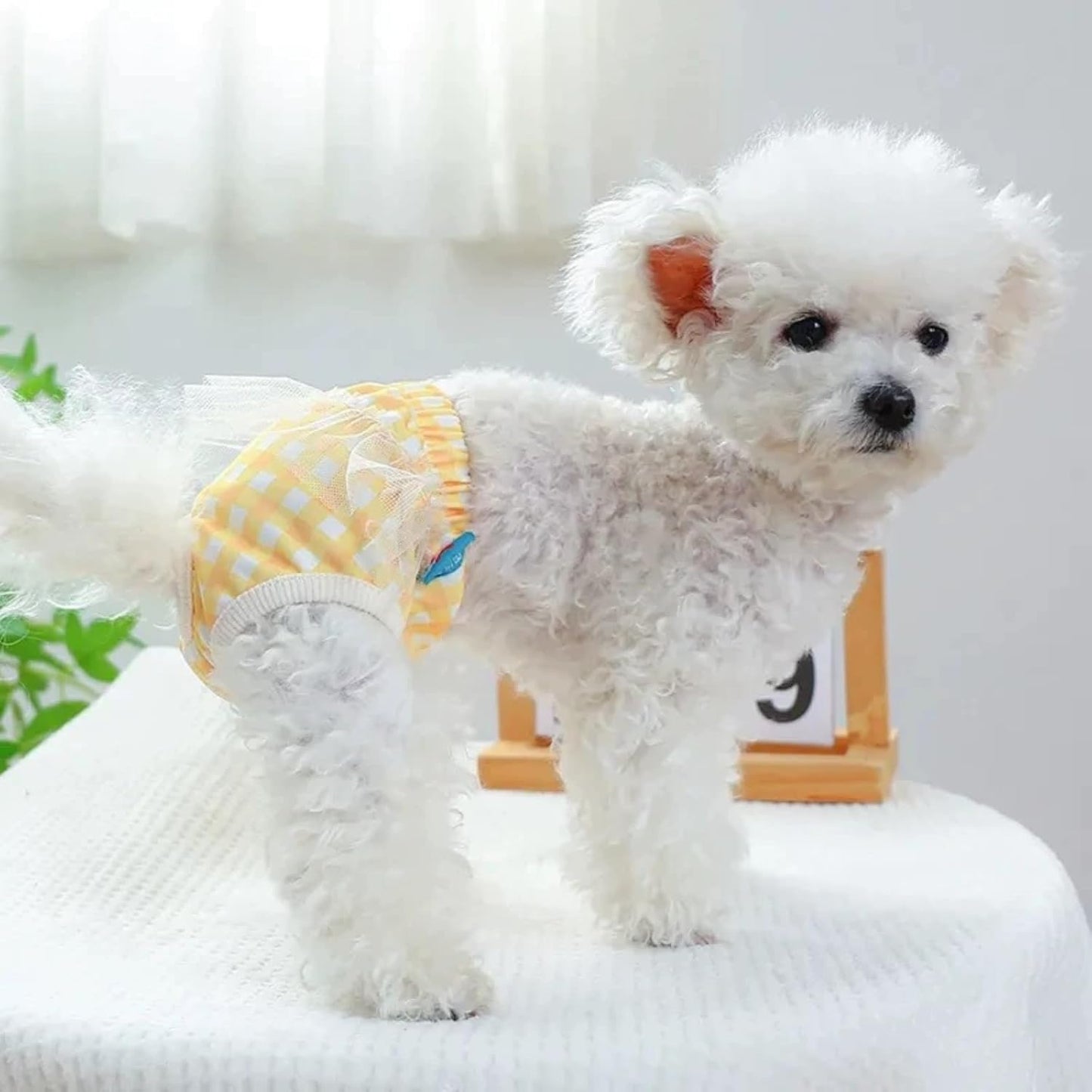 Small Dog Sanitary Panties, Lace Washable Reusable Cute Puppy Panties Pet Underwear Diaper Physiological Shorts for Female Girls Dogs(Yellow Plaid,XS)