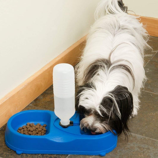 Dual Port Pet Dog Cat Bowl, Automatic Water Dispenser Plastic Feeder Utensils Bowl, Drinking Fountain Food Dish for Dog & Cat