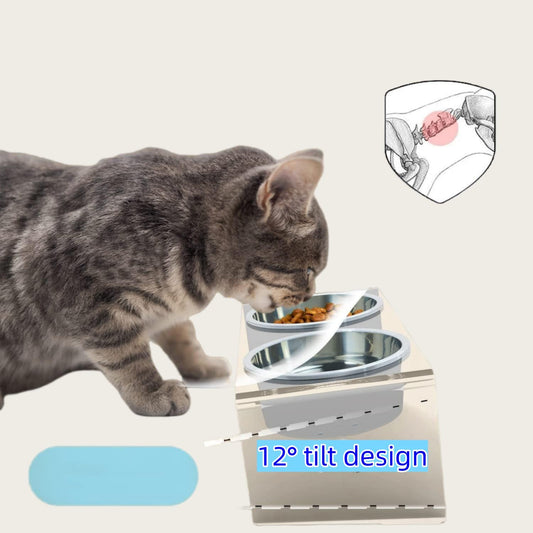 Elevated Cat & Dog Bowls Stand with 2 Stainless Steel Dishes, 【12° Tilt & 4.5in Height】 Acrylic Pet Feeder for Easier Swallowing & Comfort, Anti-Slip Food Water Bowl Holder for Medium Cat/Dog