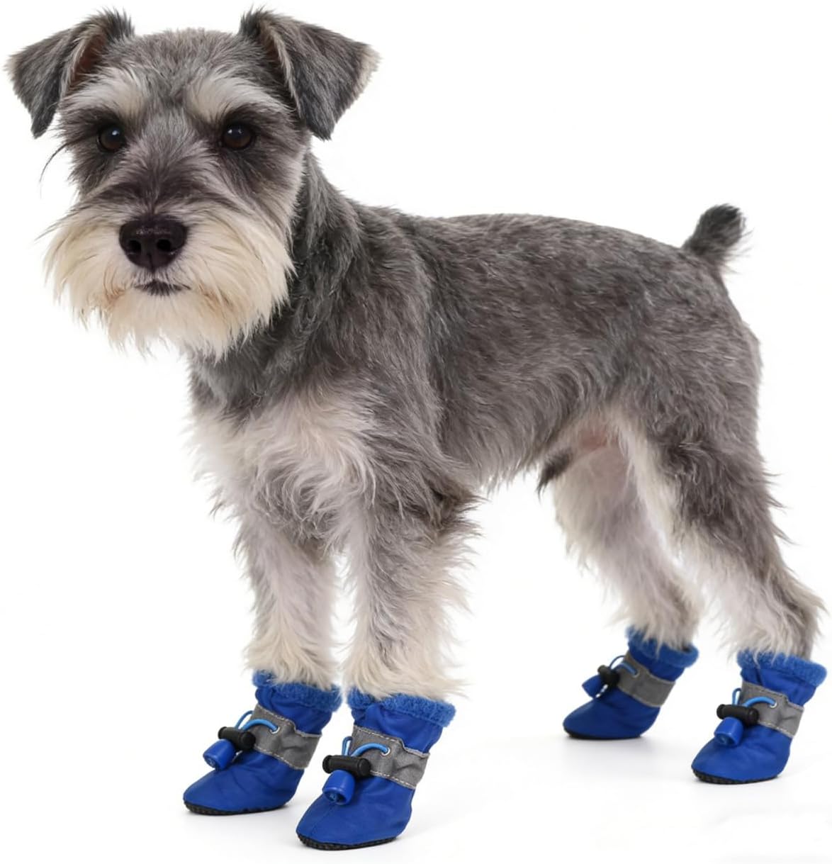 4pcs Dog Boots All Seasons Pet Booties Dogs Pet Dog paw Protector for Dogs Size XS (Blue)