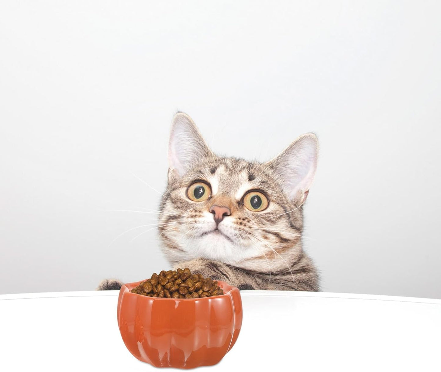 FAVOMOTO Ceramic Cat Bowl and Dog Food Bowl Raised Pet Feeding Dish with Neck Protection Pumpkin Orange for Cats and Puppies