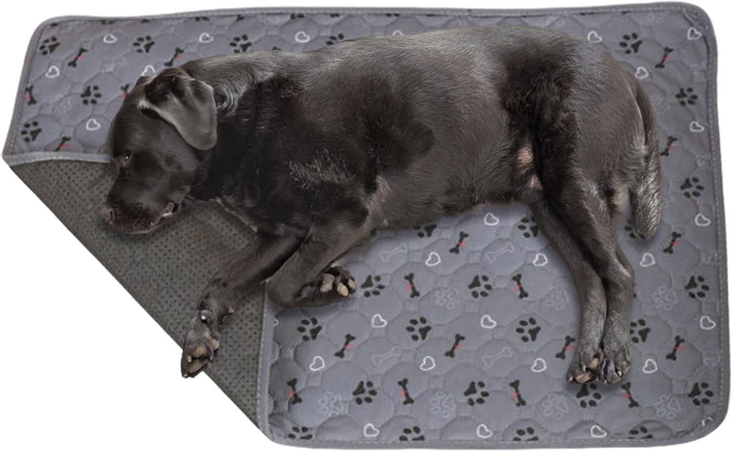 Dog Pee Pads, Puppy Training Sheets, 39.37x27.56 Inches Fast Drying Absorbent Mat, Non Slip Liner for Nursing Home Travel Vet Clinics Elderly Care Crate and Pet Hygiene Maintenance