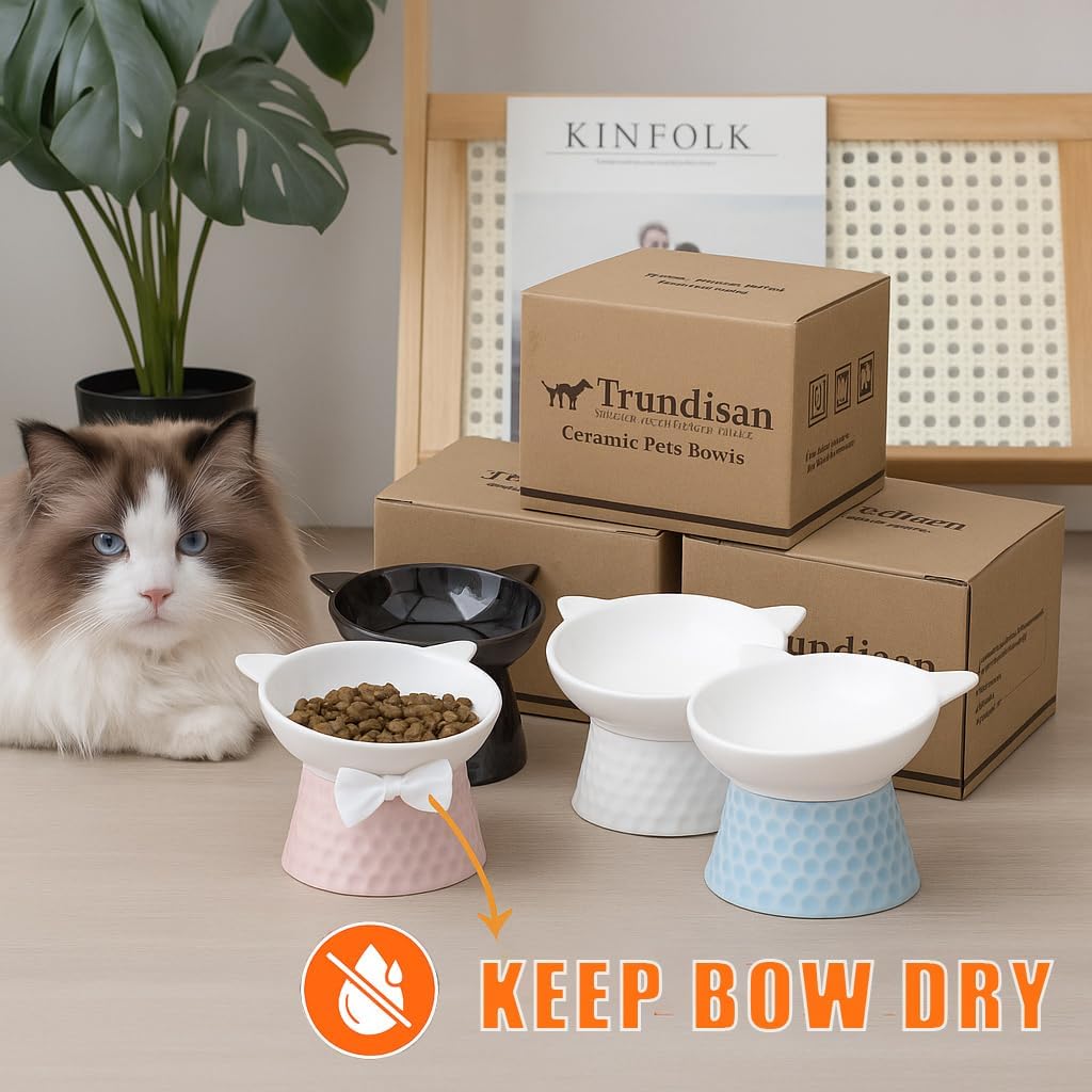 Ceramic Elevated Cat Bowl, Tilted Raised Pet Dish for Indoor Cats, Anti-Vomit & Whisker Friendly Cat Food Bowl, Cute One-Piece Stand, Microwave & Dishwasher Safe