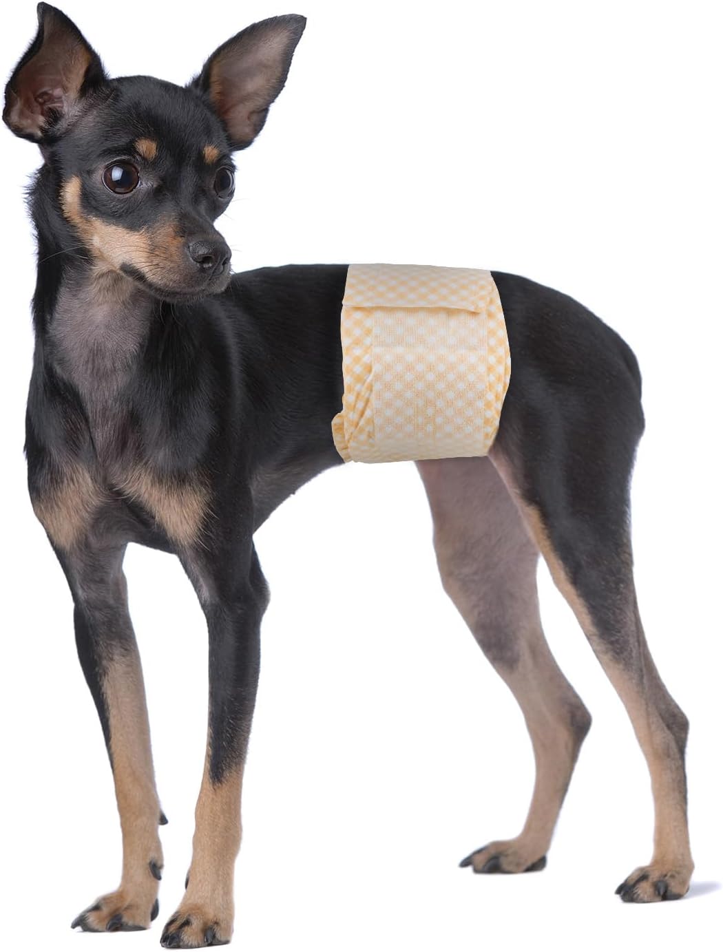 Pet Soft Male Dog Wraps - Disposable Dog Dipaers Male Wetness Indicator, Ultra Absorbent Puppy Diapers for Excitable Urination or Incontinence, 20pcs Small