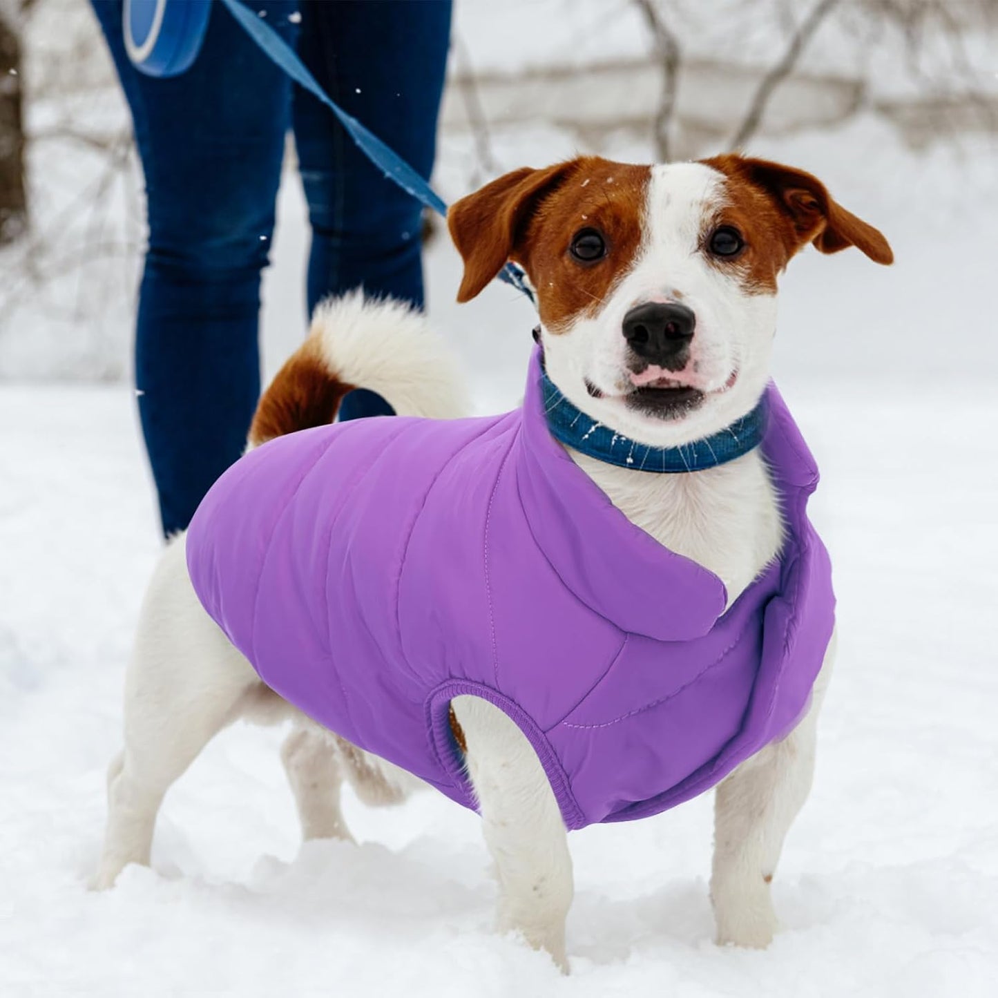 ASENKU Dog Winter Coat - Waterproof Windproof Dog Jacket, Warm Snowproof Doggie Puffer Vest for Cold Weather, Lightweight Snow Coats for Small Medium Large Dogs (Purple, XL)