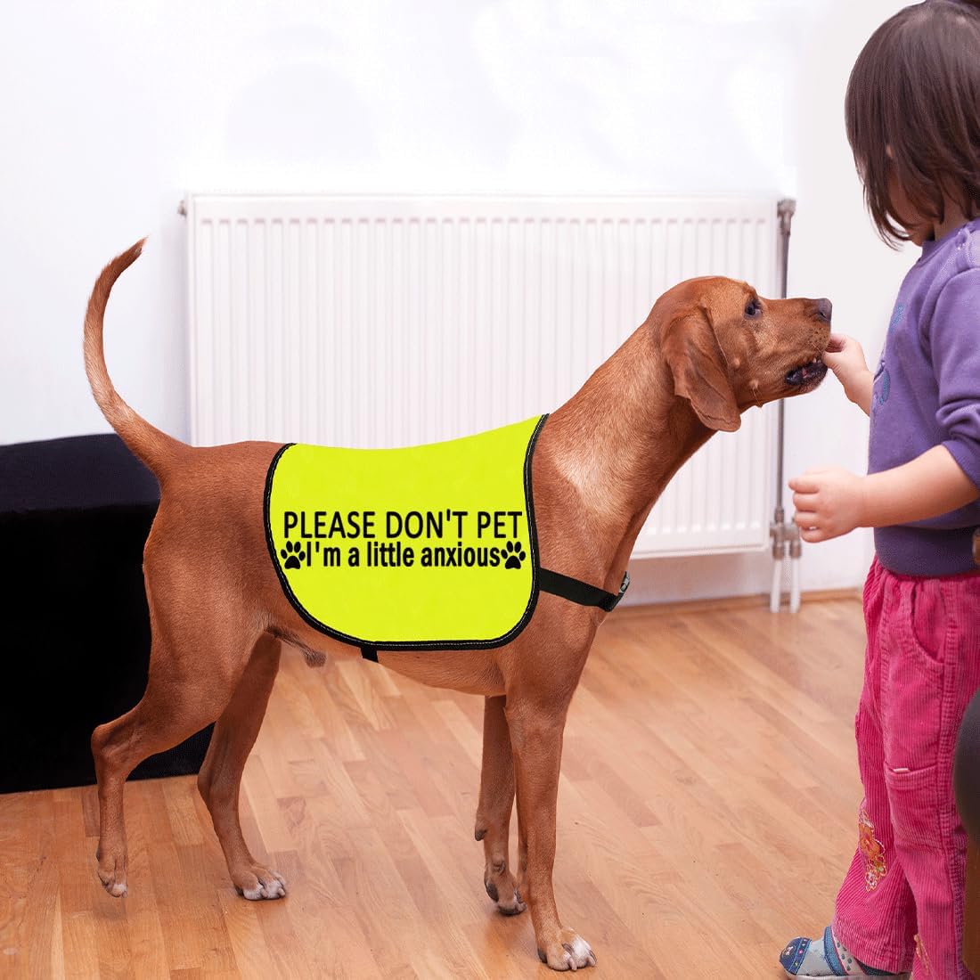 CENWA Please Don’t Pet I'm a Little Anxious Dog Jacket Vest Anxious Dogs Walking Slogan Warning Vest (Little Anxious L)