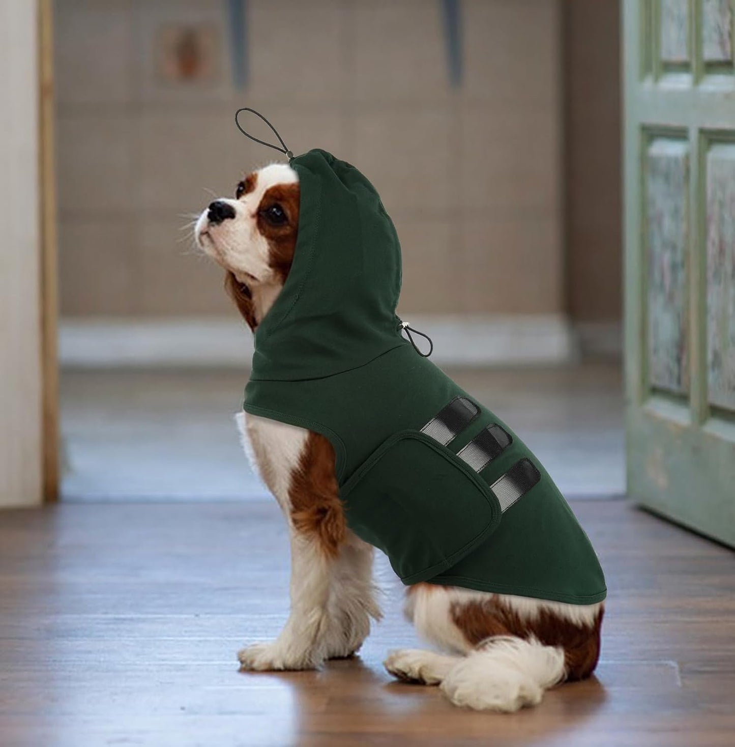 Anxiety Vest for Small Dogs-S | Anxiety Shirt with Hood Ear Cover,Sleeveless Lightweight Calming Vest for Strangers,Storm,Travel,Breathable for All-Seasons (DarkGreen)