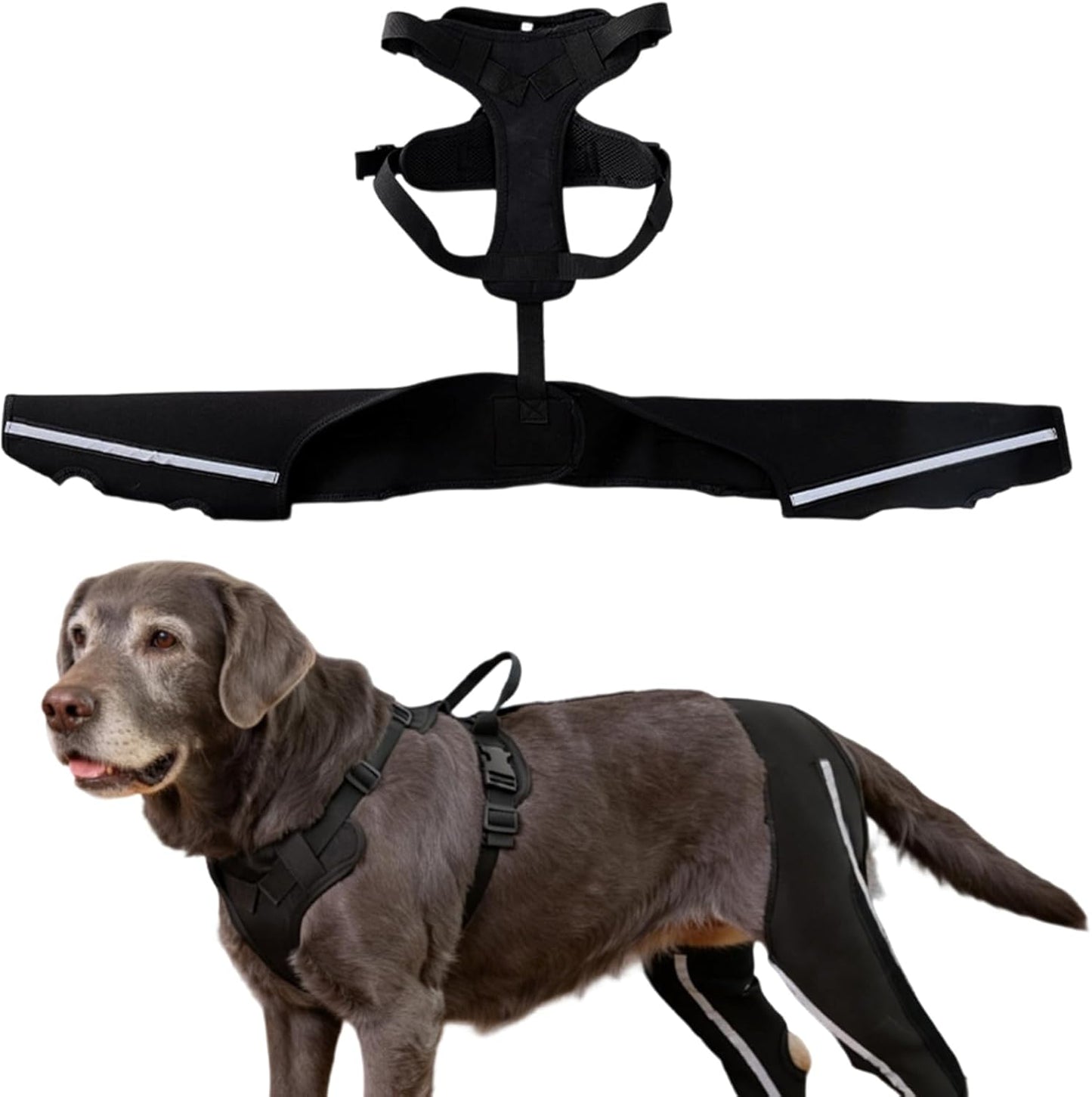 Dog Support Harness for Back Legs - Reflective Strap Lift Harness Sling Carrier,Back Leg Support | for Old Joint Injuries Torn Limping Osteoarthritis Paralysis Walking