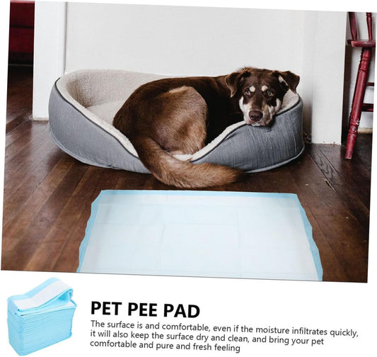 DOITOOL 40pcs Disposable Pet Training Pee Pads for Dogs and Cats Easy to Use Quick-Dry Leak Home and Outdoor Potty Training