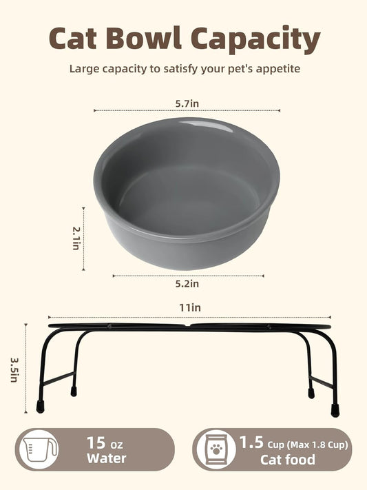 GDCZ Elevated Cat Bowl Stand, 11 in Metal Stand with 2 Removable 15 OZ Ceramic Bowls for Pet Food and Water, Stand Reduces Cat Neck Burden, Grey