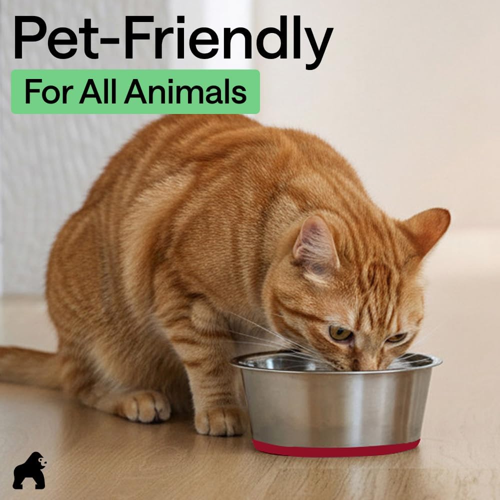 GORILLA GRIP Dog Bowls, Food Grade 304 Stainless Steel, Holds 2 Cups Each (16 fl oz) Food and Water Bowl for Feeding Dogs and Cats, Dishwasher Safe, Rust Resistant, BPA Free Rubber Base Set of 2 Red