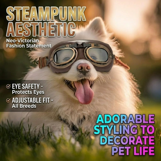 Vintage Dog Goggles with UV Protection, Windproof Pet Sunglasses for Small Medium Dogs, Safe Riding, Traveling, Steampunk Costume, Adjustable Strap, 3 Color (Silver)