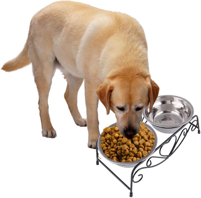 Stainless Steel Elevated Pet Bowls Set,Raised Pet Bowls Double Dog Cat Food Water Bowls Feeder Dishes with Shelf Iron Stand
