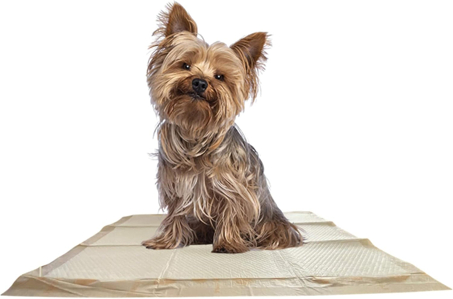 WizSmart Essentials Large Dog Pads, 23.5" x 22", Extra Absorbent Puppy Training Pads, Indoor Potty Pads, Leakproof Gel Pads for Small Dogs, Crate, House, Travel, Eco-Friendly, Non-Slip - 10 Count