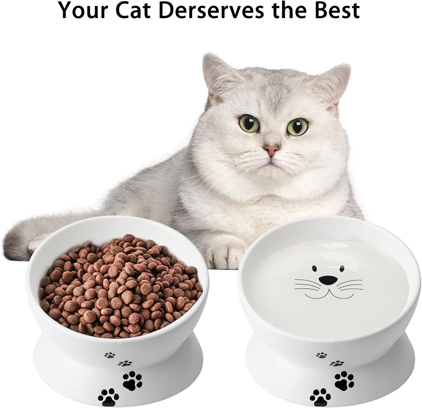 Cat Food Bowls, 10 OZ Elevated Cat Bowls for Cats and Small Dogs, Tilted Pet Feeder Bowl with Raised Stand Protect Cat's Spine, Ceramic Cat Water Bowl No-Spill, Stress Free Cat Dish 2pcs