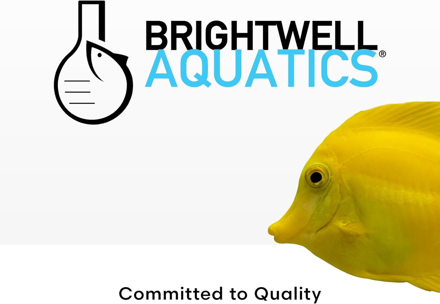 Brightwell Aquatics Phosphat-E Liquid Phosphate Remover for Marine Fish and Reef Aquariums - Aquarium Water Treatments, 8.45 fl oz