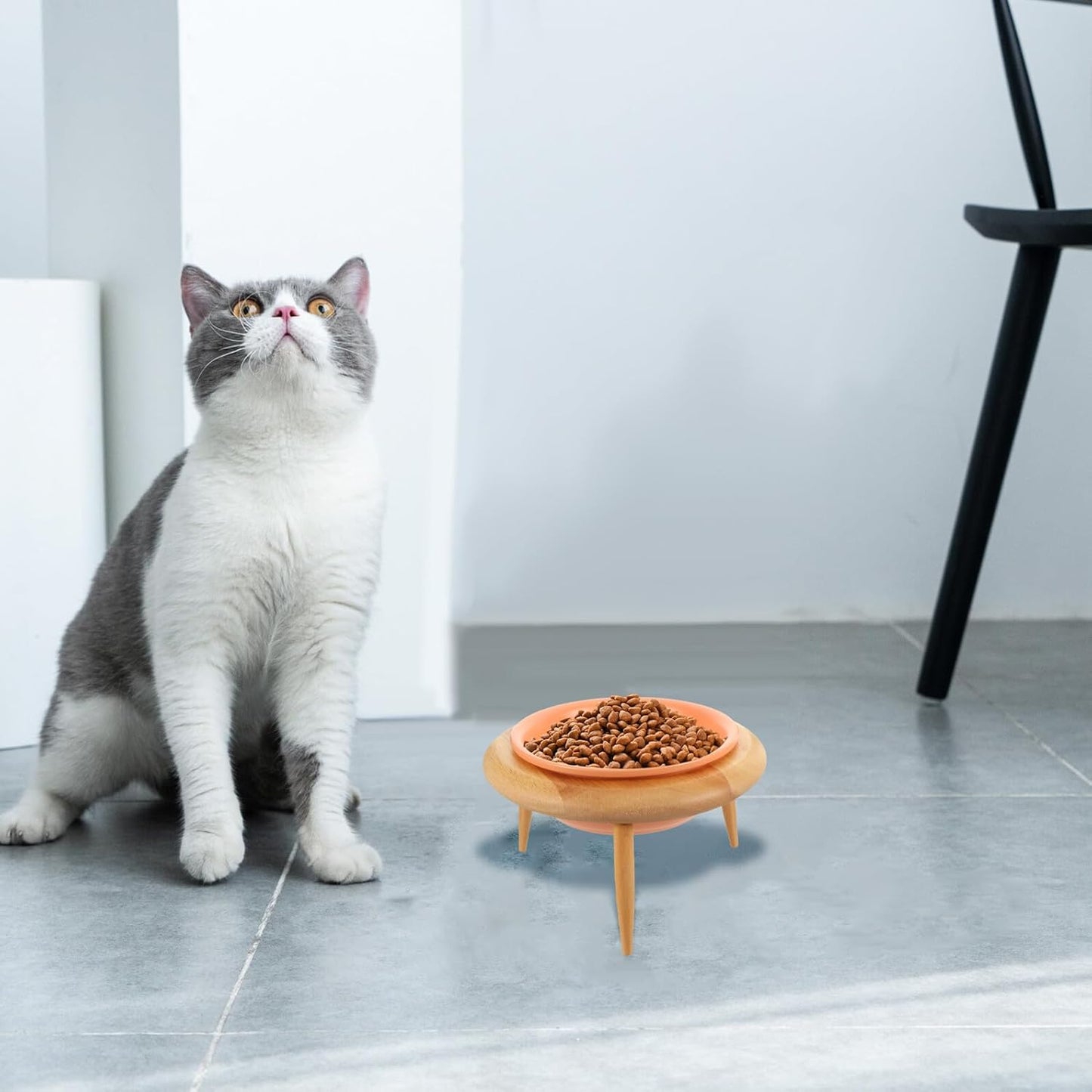 Milisten Elevated Ceramic Cat Bowl with Oak Rack 600ml Raised Pet Food Holder and Water Container for Cats and Small Dogs Feeding