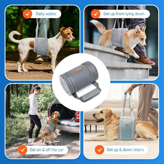 Dog Lift Harness for Medium Dog, Adjustable Dog Sling for Back Legs, Hip Support Harness to Help Lift Dogs Rear for Helps Senior, Injured, Disabled and After ACL Surgery Dogs - Medium, Grey