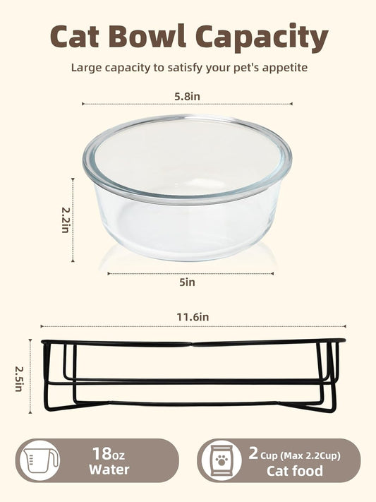 GDCZ Elevated Cat Bowl Stand, 11.6 in Metal Stand with 2 Removable 20 OZ Glass Bowls for Pet Food and Water, Stand Reduces Cat Neck Burden, Transparent