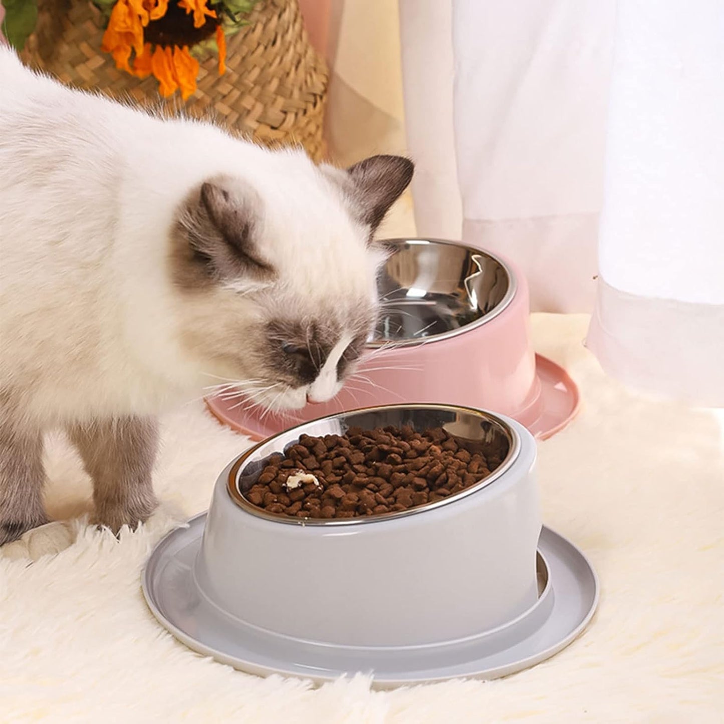 for Cat Food Bowls Elevated for Cat Bowls for Food and Water with Base Stand Bowl 15° Raised Single Bowl