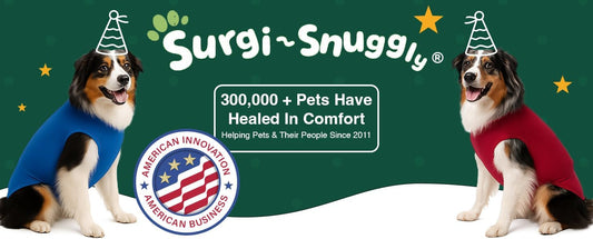 Secures Male Dog Diapers Or Dog Diapers Female - Wrap Around Legs for Superior Fit - Fits (LL - Blue)