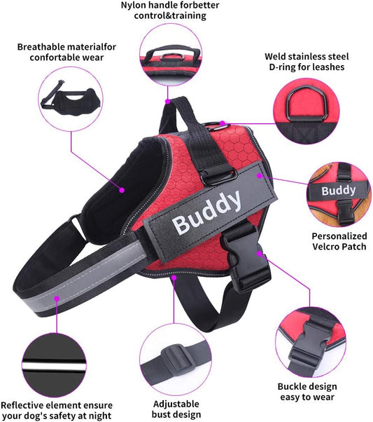 HOTGOL Personalized Dog Harness, Custom No Pull Pet Vest with Name and Phone Number to Prevent Tugging, Pulling, or Choking, Training and Walking(Blue,M)