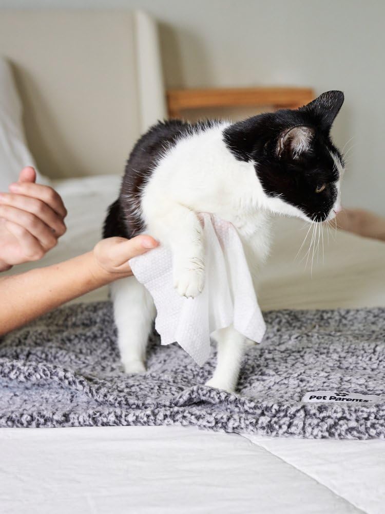 Cat All Purpose Pet WiPees™ – 100 Daily Cat Bath Wipes, All Natural Cat Wipes for Ears, Fur & Folds, Gentle Pet Wipes for Cats, pH-Balanced to Cats Specific Skin & Biome (Natural, 100ct)