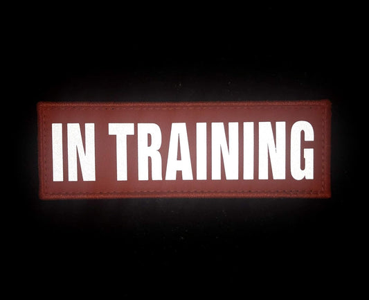 JUJUPUPS Orange Reflective Dog Patches 2 Pack Service Dog,in Training,DO NOT PET,Patches with Hook and Loop for Vests and Harnesses(in Training, 5x1.5 inch)