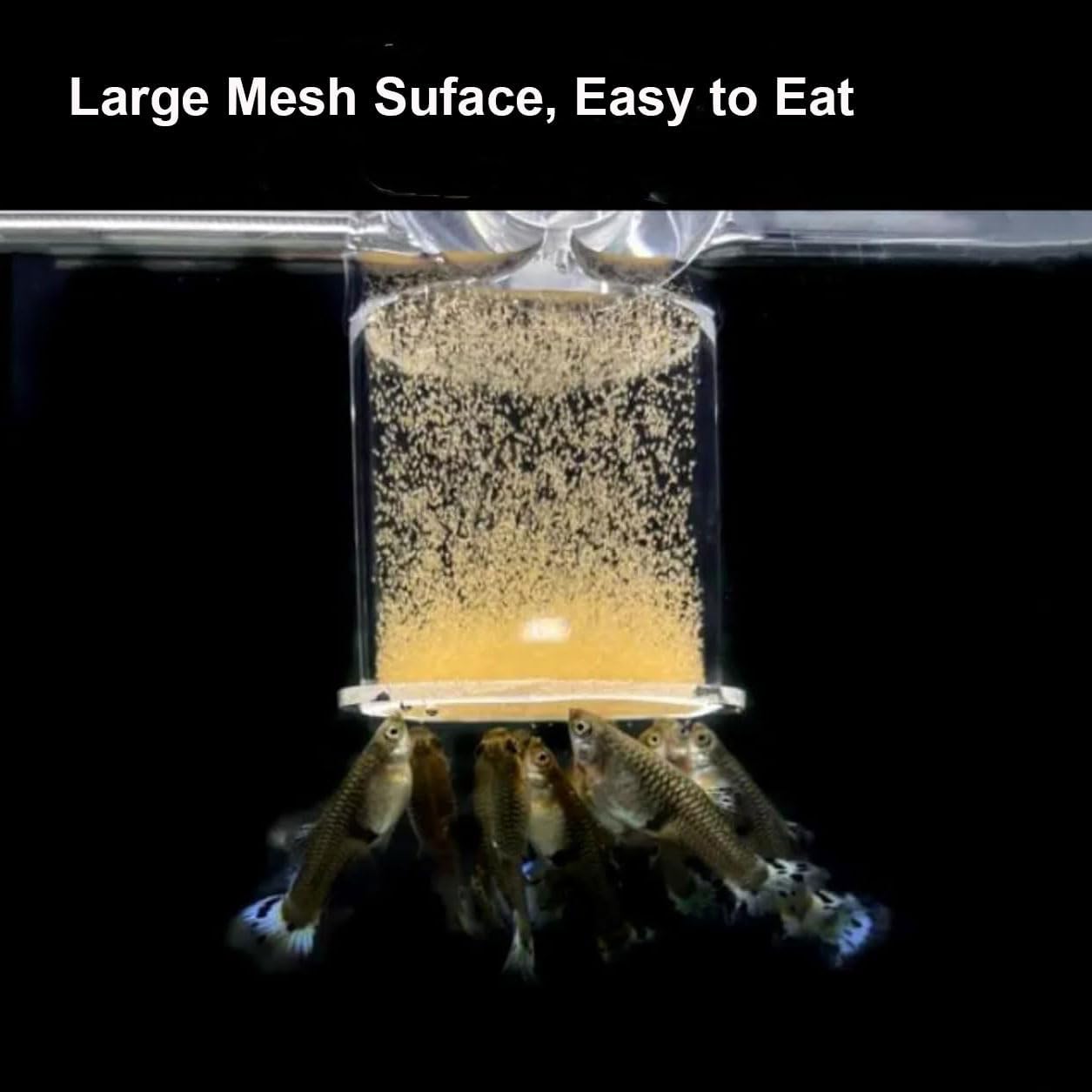 Fish Feeder, Baby Brine Shrimp Sieve,Blood Worms Feeder, Feeding Ring,Floating Food Dispenser with Suction Cup Mount & Floating Ring Set of 3 Sizes Ideal for Feeding Brine Shrimp,Blood Worms