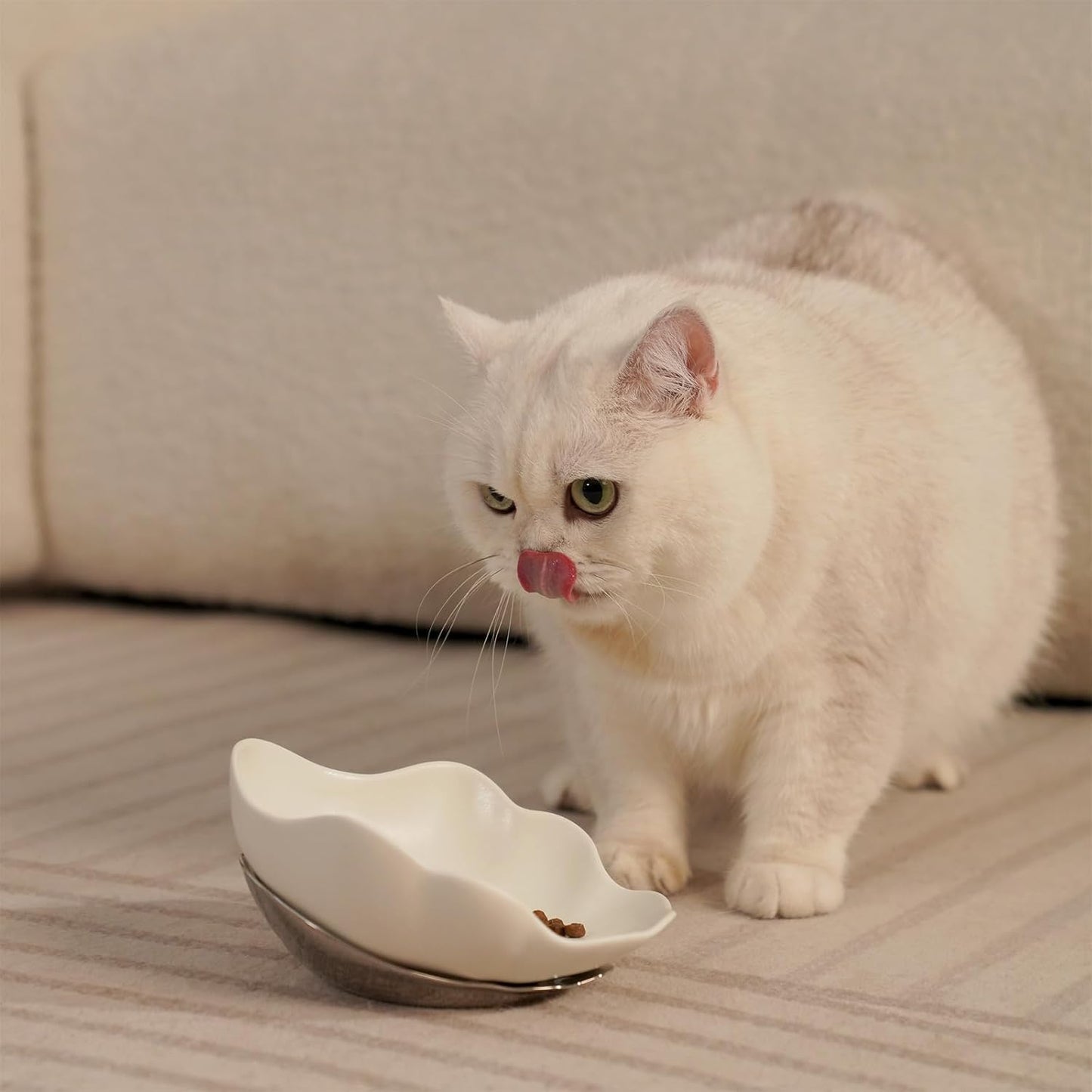 Shell Ceramic Dog Bowls & Cat Food Bowl, Whisker-Friendly Feeding Dish for Small Dogs & Cats, Non-Slip Food Grade Pet Bowl with Stainless Steel Base, Aesthetic Design