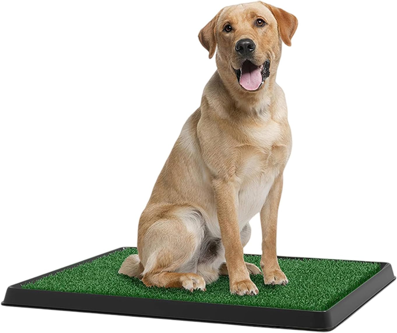 Artificial Grass Dog Pee Pad with Tray,Washable 3-Layer Puppy Training Pad for Indoor Use Training in Assorted Size Indoor Dog Toilet