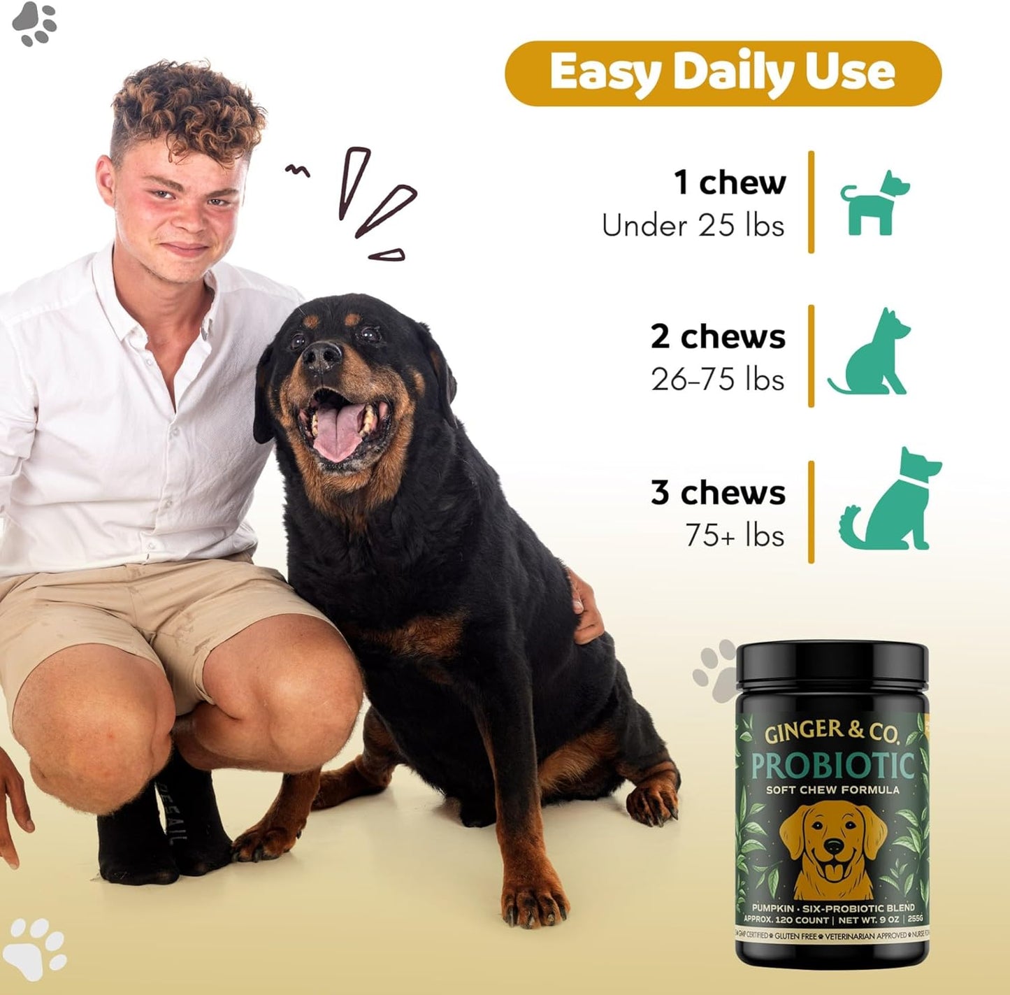 Ginger & Co Dog Probiotic Chews β Digestive Support for Loose Stool, Gas & Sensitive Stomach β Pumpkin, Enzymes & 1 Billion CFU Probiotics β Cold Pressed, No Fillers β Made in USA ~ 120 Chews
